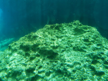 La mare in Cipru: Imagini submarine