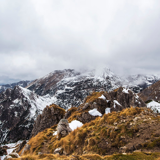 Hd-171705-ascw171705