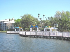 Florida Marriott Cypress Harbour pool area w chairs2