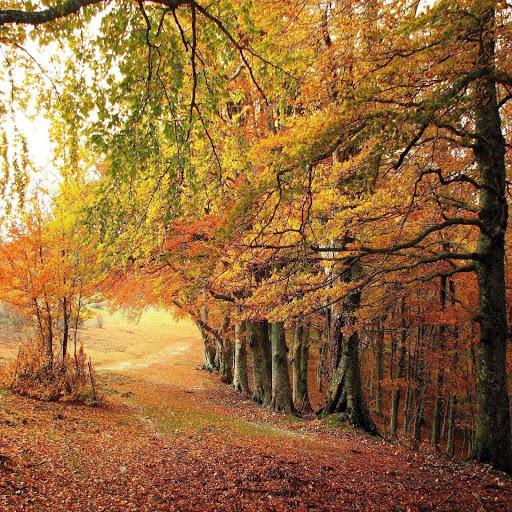 Hd-139220-ascw139220