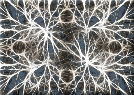 neuron otak