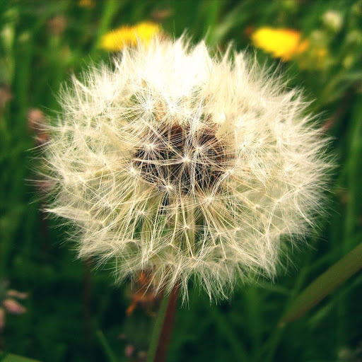 Hd-139555-ascw139555