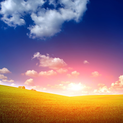 Hd-186219-ascw186219