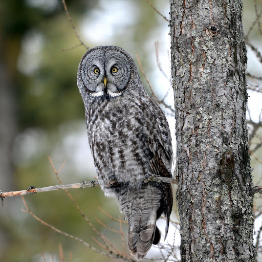 Hd-177842-ascw177842