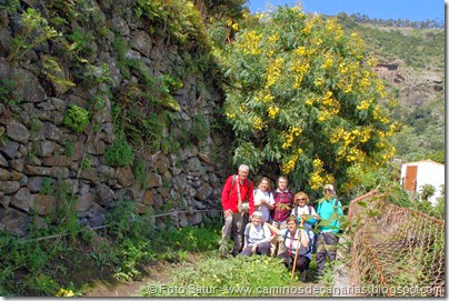 7727 La Laguna-Barranco del Laurel (El Molinete) 7727 La Laguna-Barranco del Laurel (El Molinete)