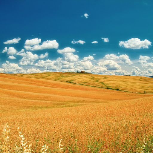 Hd-141938-ascw141938