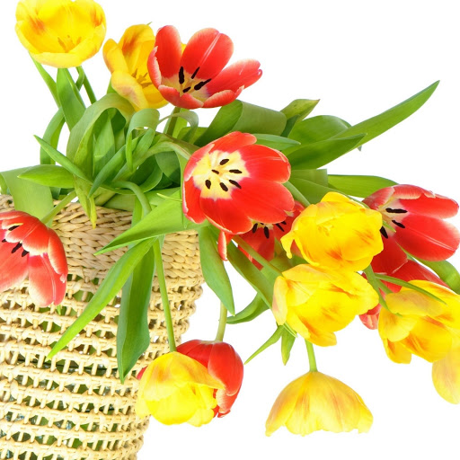 Hd-168831-ascw168831