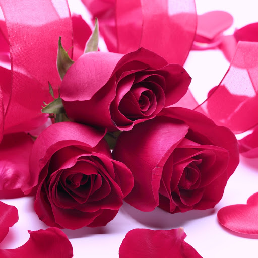 Hd-164417-ascw164417