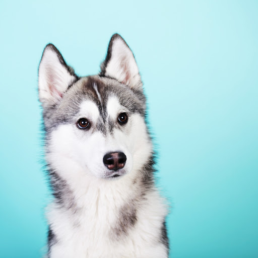 Hd-137501-ascw137501