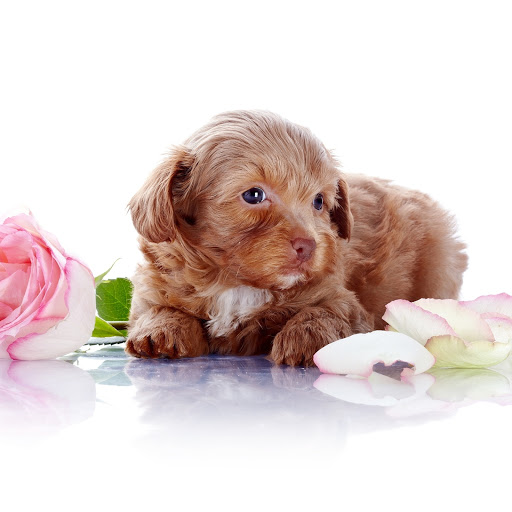 Hd-167854-ascw167854