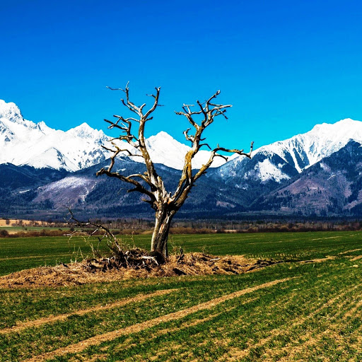 Hd-157621-ascw157621