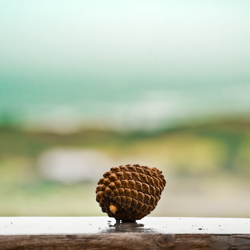 Hd-150940-ascw150940