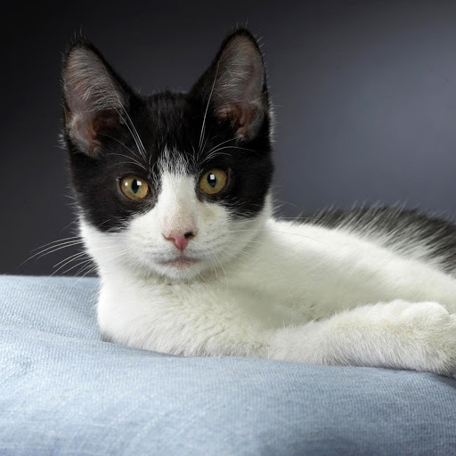 Hd-148007-ascw148007