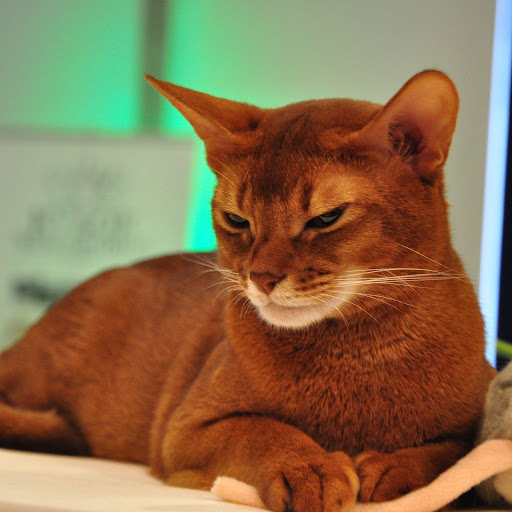 Hd-153158-ascw153158