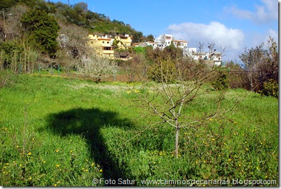 7716 La Laguna-Barranco del Laurel(El Sobradillo) 7716 La Laguna-Barranco del Laurel(El Sobradillo)