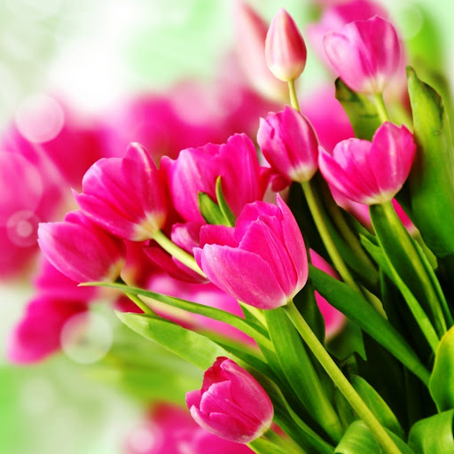 Hd-145918-ascw145918