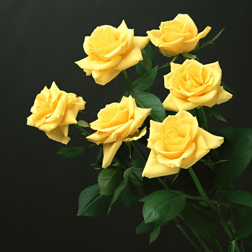 Hd-145176-ascw145176