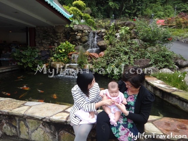 [Lim%2520Goh%2520Tong%2520Memorial%2520Hall%252013%255B3%255D.jpg]