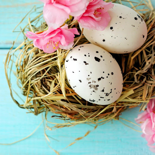 Hd-159314-ascw159314