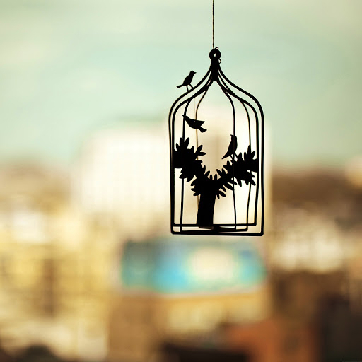 Hd-177404-ascw177404