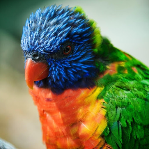 Hd-148160-ascw148160