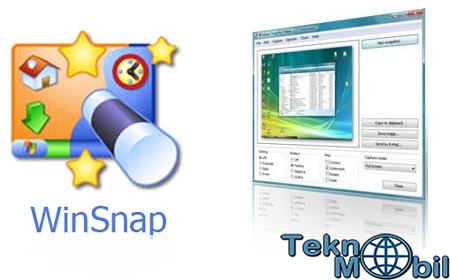WinSnap v4.5.9 Full İndir