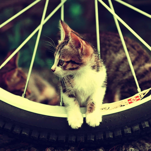 Hd-138925-ascw138925