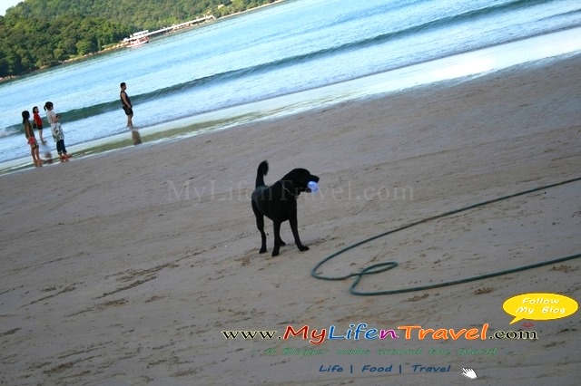 Patong beach Patong beach