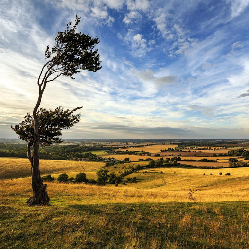 Hd-149070-ascw149070