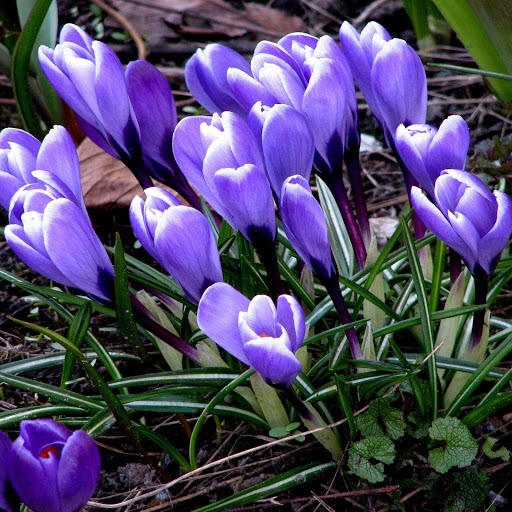 Hd-161883-ascw161883