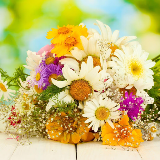 Hd-170105-ascw170105