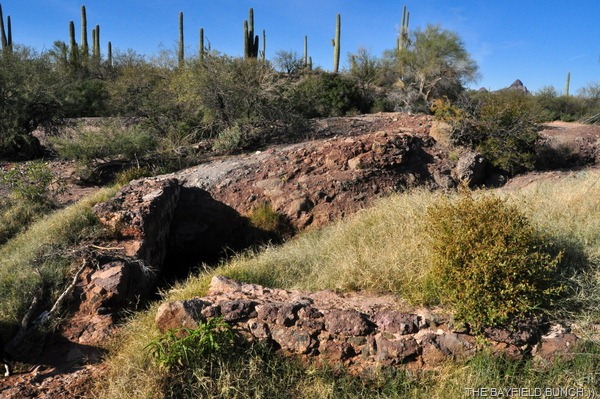 [DSC_0018%255B3%255D.jpg]