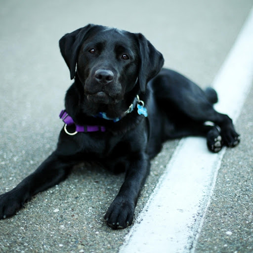 Hd-176157-ascw176157