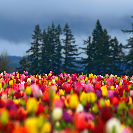 Hd-142674-ascw142674