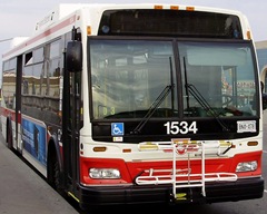 TTC Bus