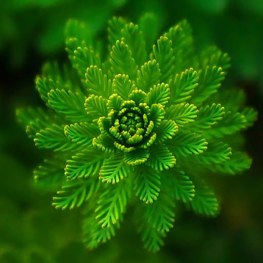 Hd-174742-ascw174742