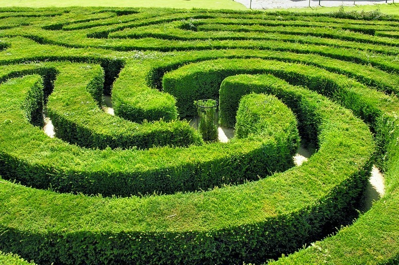 longleat-hedge-maze-4