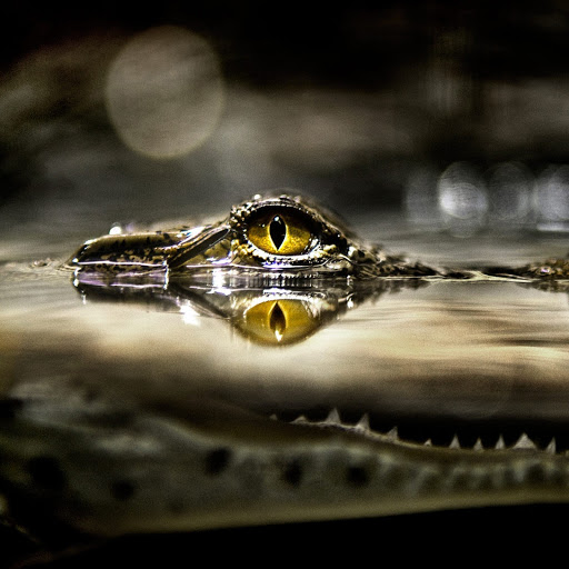 Hd-142551-ascw142551