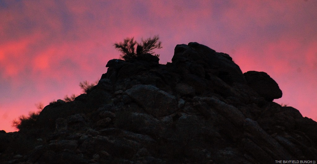 [DSC_8975%255B4%255D.jpg]