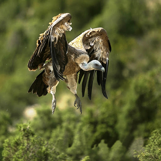 Hd-147522-ascw147522