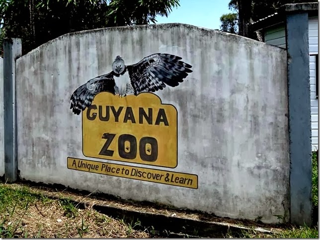Guyana_Zoo_DSC07048