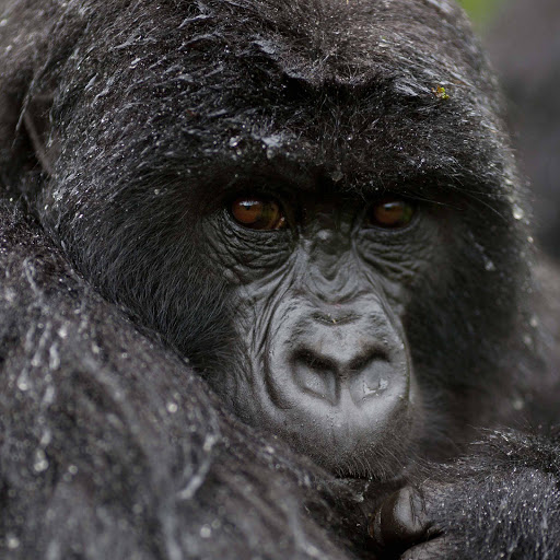 Hd-163711-ascw163711