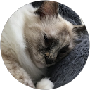 Image Google de Jess L