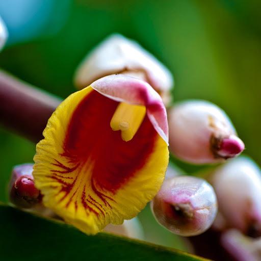 Hd-142393-ascw142393