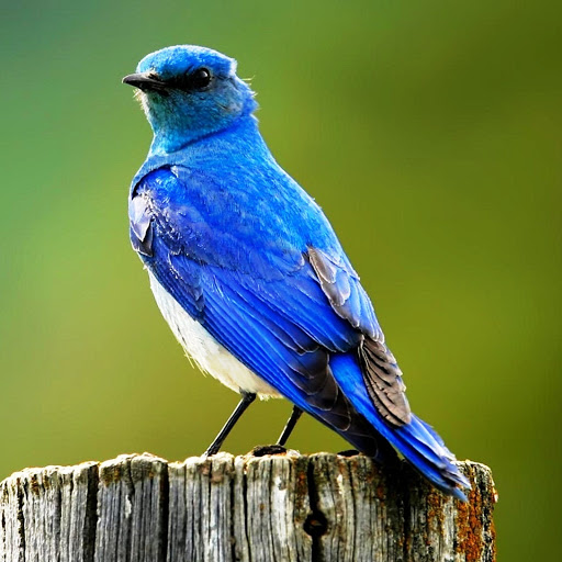 Hd-142153-ascw142153