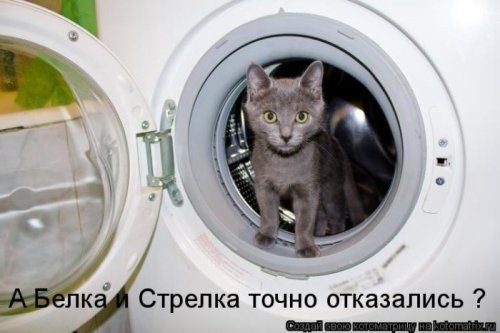 [1294385675_kotomatritsa-11%255B3%255D.jpg]