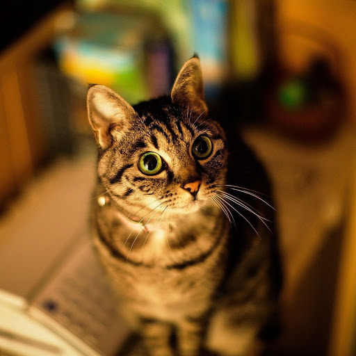 Hd-138857-ascw138857