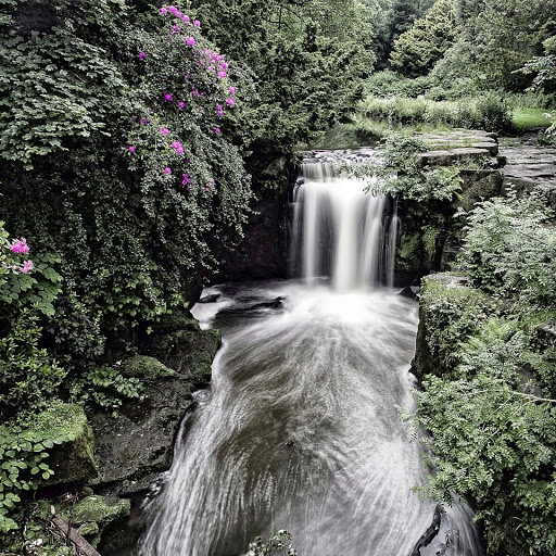 Hd-151507-ascw151507