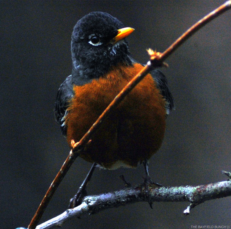 [DSC_3634%255B4%255D.jpg]