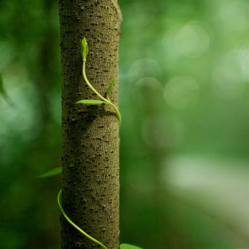 Hd-139602-ascw139602